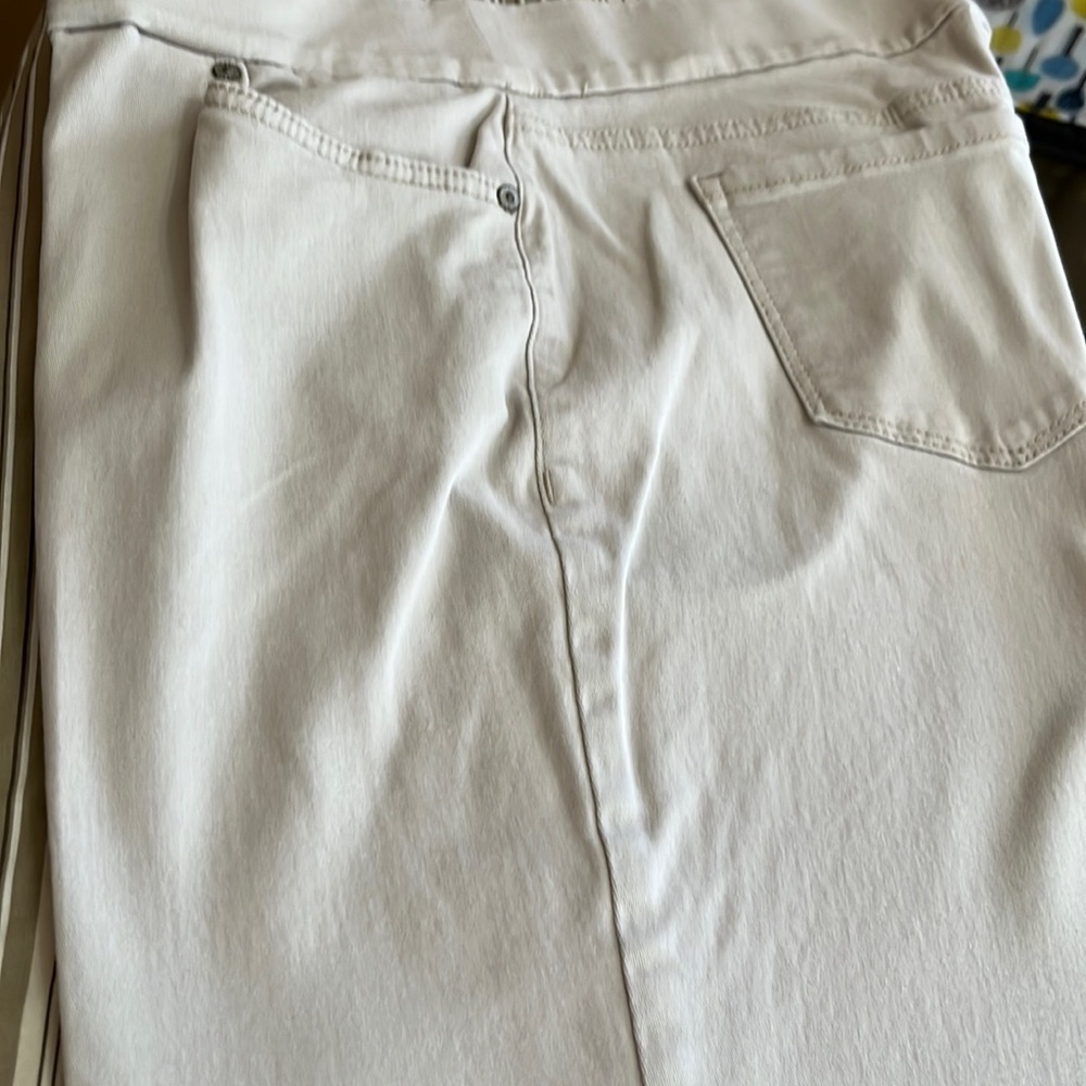 Soft skimmer pants sz L beige by Style & co